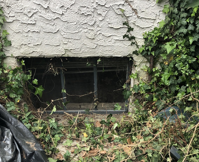Vermin were getting in through this window 